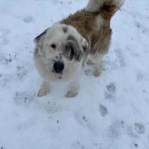 Meet your Posher, Josh